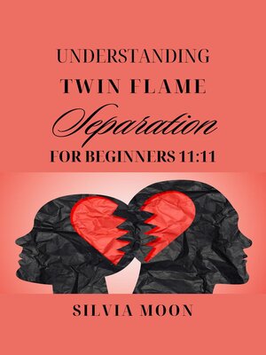 cover image of Understanding Twin Flame Separation